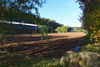 Bild 2 Bildergalerie Pferdepension Werben