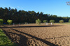 Bild 1 Bildergalerie Pferdepension Werben