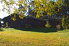 Bild 2 Bildergalerie Pferdepension Werben