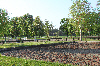 Bild 1 Bildergalerie Pferdepension Werben