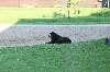 Bild 2 Bildergalerie Pferdepension Werben