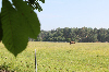 Bild 4 Bildergalerie Pferdepension Werben