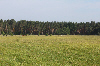 Bild 5 Bildergalerie Pferdepension Werben