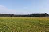 Bild 6 Bildergalerie Pferdepension Werben