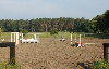 Bild 9 Bildergalerie Pferdepension Werben