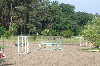 Bild 10 Bildergalerie Pferdepension Werben